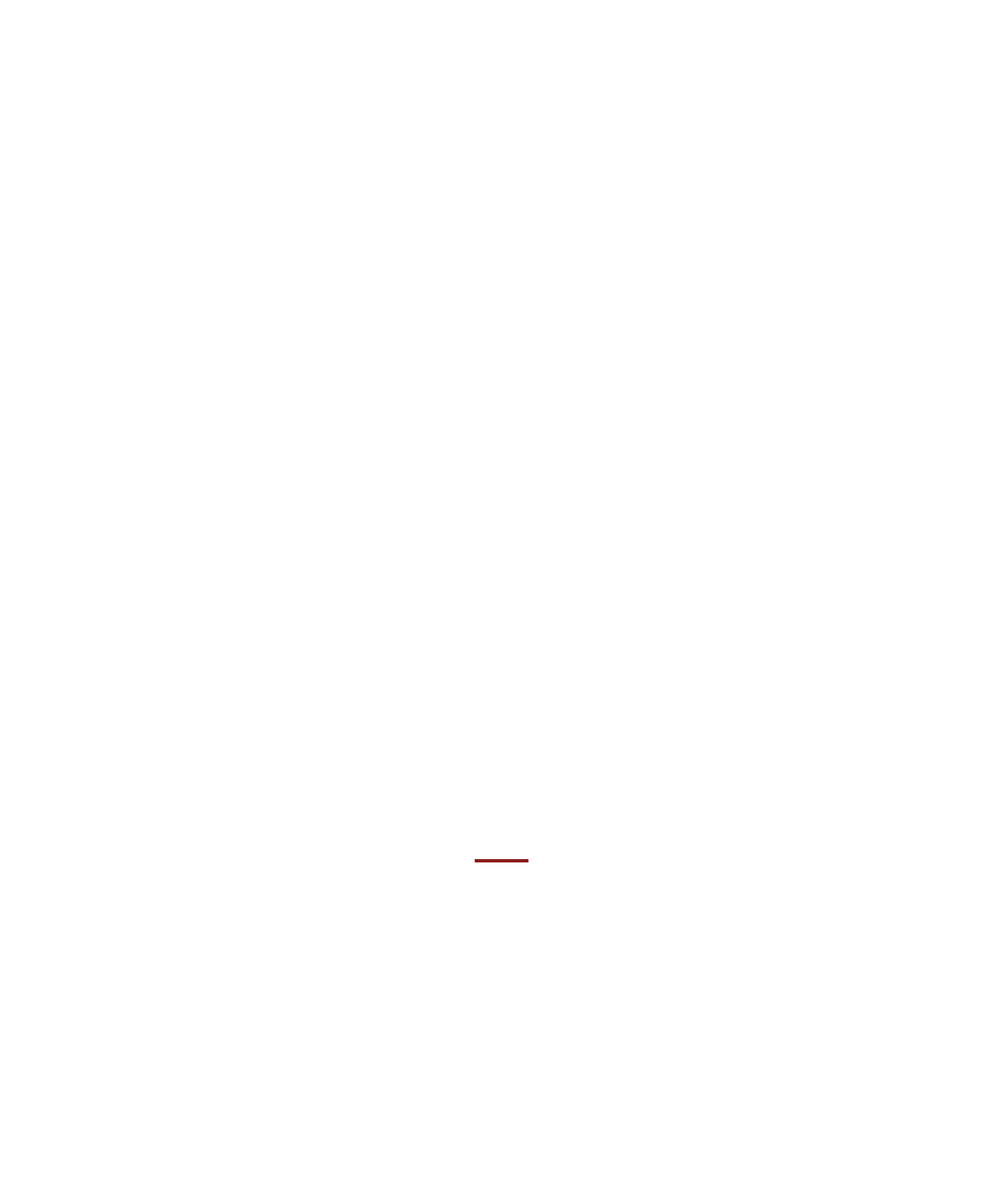 Slopcore Since 2025 — Decreased Value Co. (slopcore)