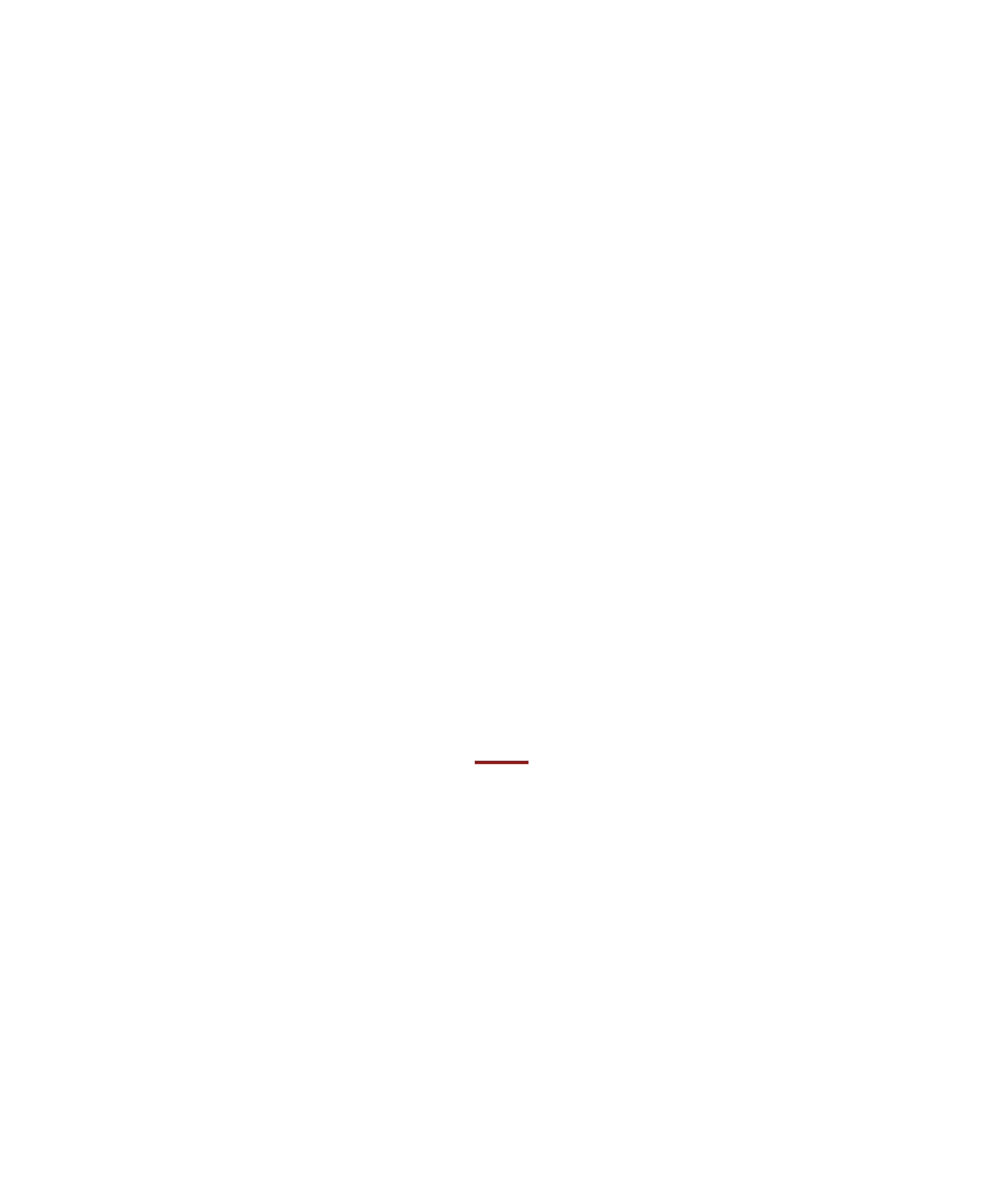 UBI Slop Enjoyer — Decreased Value Co. (slopcore)
